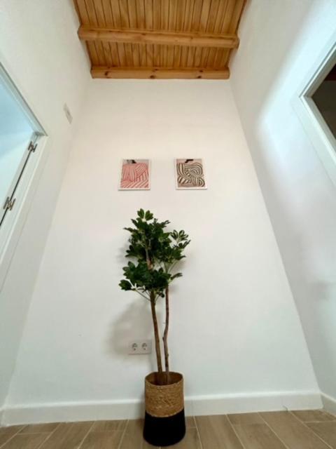 Gatu Casa Solera, Un Lugar Unico, "Preferente Para Mayores De 25 Anos Y Familias " إل بويرتو دي سانتا ماريا المظهر الخارجي الصورة